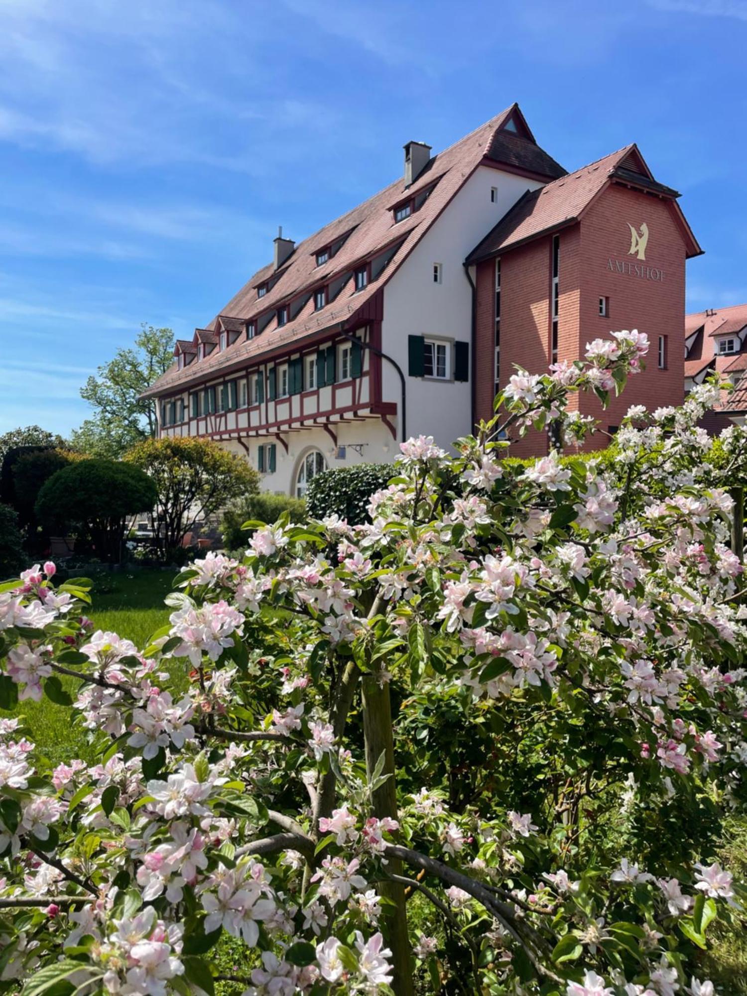 Seehotel Amtshof Langenargen Bagian luar foto